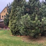 Оренда будинку 320м², 17 соток, Козин | 16