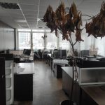 Оренда комерційної нерухомості по вул. Кудрявський узвіз, 106.6 м² | 4