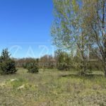 Продаж земельної ділянки, 257 соток, Буча | 1