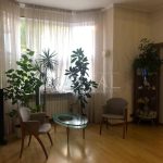 Продаж будинку 526м², 24 соток, Святопетрівське | 18