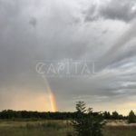 Продаж земельної ділянки, 257 соток, Буча | 3