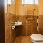 Продаж будинку 250м², 37 соток, Гора | 13