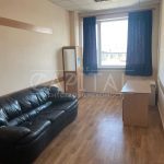 Оренда комерційної нерухомості по вул. Сім’ї Бродських, 4819 м² | 10