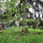Продаж земельної ділянки, 350 соток, Ворзель | 1