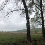 Продаж земельної ділянки, 899 соток, Ходосівка | 7