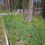 Продаж земельної ділянки, 350 соток, Ворзель | 4