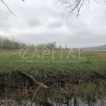 Продаж земельної ділянки, 899 соток, Ходосівка | 9