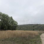 Продаж земельної ділянки, 899 соток, Ходосівка | 5