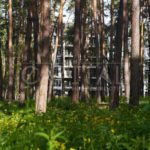 Продаж 3 кімн. квартири по вул. Лісова 1 | 23
