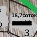 Продаж земельної ділянки, 18.7 соток, Іванковичі | 6