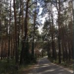 Продаж земельної ділянки, 8.5 соток, Козин | 10