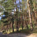 Продаж земельної ділянки, 8.5 соток, Козин | 12