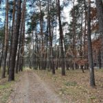Продаж 3 кімн. квартири по вул. Лісова 1 | 16