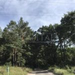 Продаж земельної ділянки, 8.5 соток, Козин | 7