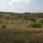 Продаж земельної ділянки, 400 соток, Великі Дмитровичі | 1
