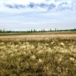 Продаж земельної ділянки, 505 соток, Лебедівка | 12