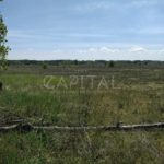 Продаж земельної ділянки, 505 соток, Лебедівка | 11