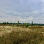Продаж земельної ділянки, 505 соток, Лебедівка | 9