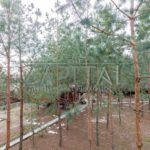 Продаж будинку 200м², 12 соток, Глеваха | 16