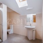 Продаж будинку 363м², 25 соток, Іванковичі | 12