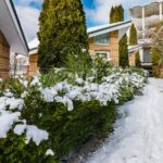 Продаж комерційної нерухомості по вул. Центральна, 800 м² | 17