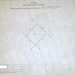 Продаж земельної ділянки, 9 соток, Козин | 14