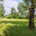 Продаж будинку 210м², 6 соток, Вишеньки | 23