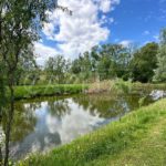 Продаж комерційної нерухомості по вул. Теплична, 1000 м² | 4