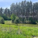 Продаж земельної ділянки, 25 соток, Проців | 3