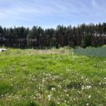 Продаж земельної ділянки, 25 соток, Проців | 23