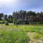Продаж земельної ділянки, 25 соток, Проців | 6