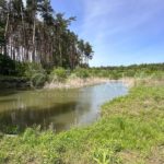 Продаж будинку 163м², 25 соток, Проців | 6