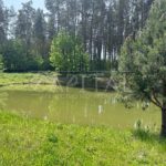 Продаж будинку 163м², 25 соток, Проців | 4