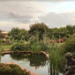 Продаж будинку 730м², 40 соток, Козин | 10