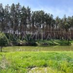 Продаж будинку 163м², 25 соток, Проців | 5