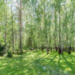 Продаж будинку 138м², 28 соток, Капітанівка | 24