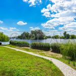 Продаж будинку 453м², 35 соток, Вишеньки | 17