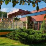 Продаж будинку 1252м², 300 соток, Нові Безрадичі | 3