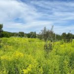 Продаж земельної ділянки, 25 соток, Підгірці | 1