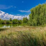 Продаж будинку 500м², 70 соток, Київ | 21