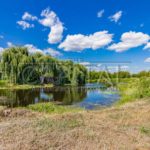 Продаж земельної ділянки, 45 соток, Нові Безрадичі | 5