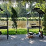 Продаж земельної ділянки, 45 соток, Нові Безрадичі | 7