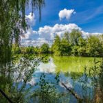 Продаж будинку 500м², 70 соток, Київ | 22