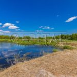 Продаж земельної ділянки, 45 соток, Нові Безрадичі | 6