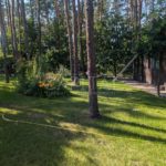 Продаж земельної ділянки, 150 соток, Ходосівка | 7