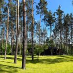 Продаж земельної ділянки, 150 соток, Ходосівка | 1