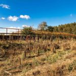 Продаж будинку 500м², 60 соток, Плахтянка | 21