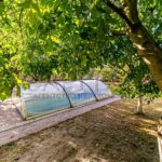 Продаж будинку 400м², 31 соток, Березівка | 6