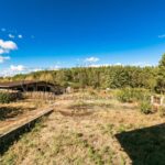 Продаж будинку 500м², 60 соток, Плахтянка | 20