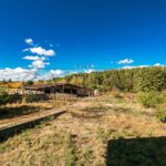 Продаж будинку 500м², 60 соток, Плахтянка | 19